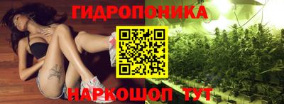 сатива Первоуральск