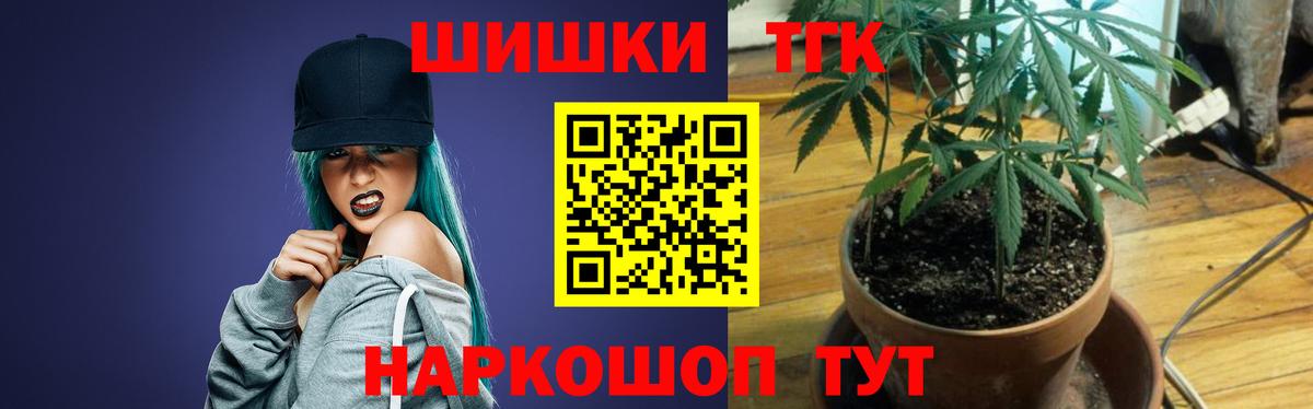 Канабис семена  Вход с VPN  Бошки Шишки планчик  Строитель  Марихуана OG Kush 